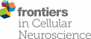 Frontiers in neuroscience
