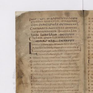 Falsi e falsari: tra antico e moderno