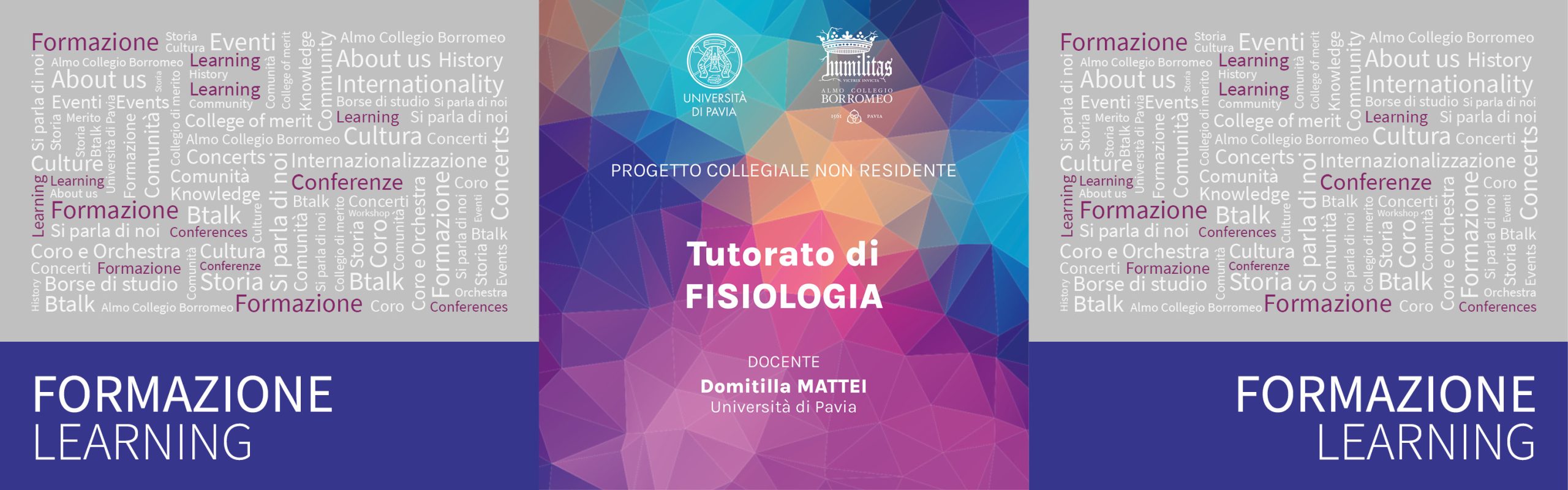 meets project